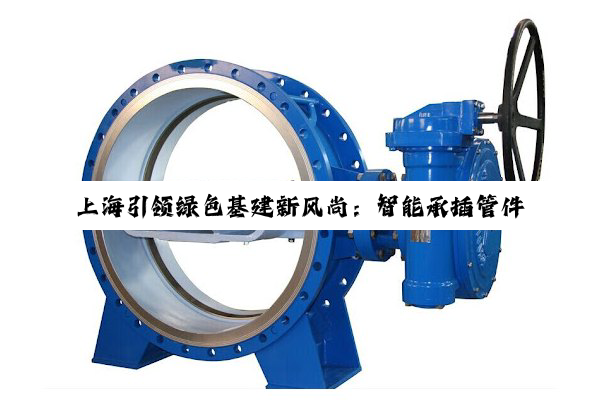 今日科普|开云·Kaiyun中国登录入口: 上海引领绿色基建新风尚：智能承插管件服务赋能橡胶圈密封技术革新