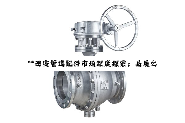 **西安管道配件市场深度探索：品质之选与卓越供应商揭秘**